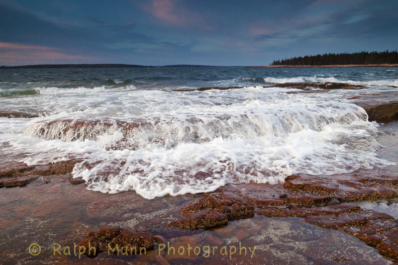 Acadia Morning