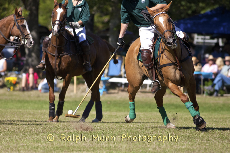 Polo, The Sport Of Kings!