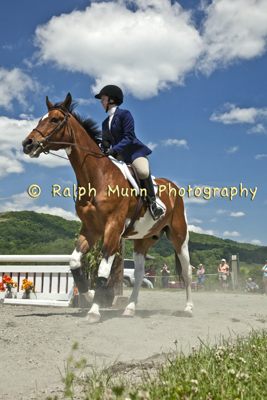 At Biscuit Hill Farm, Shelburne MA