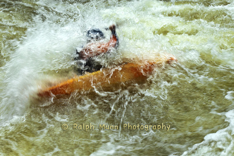 The Kayak Lesson