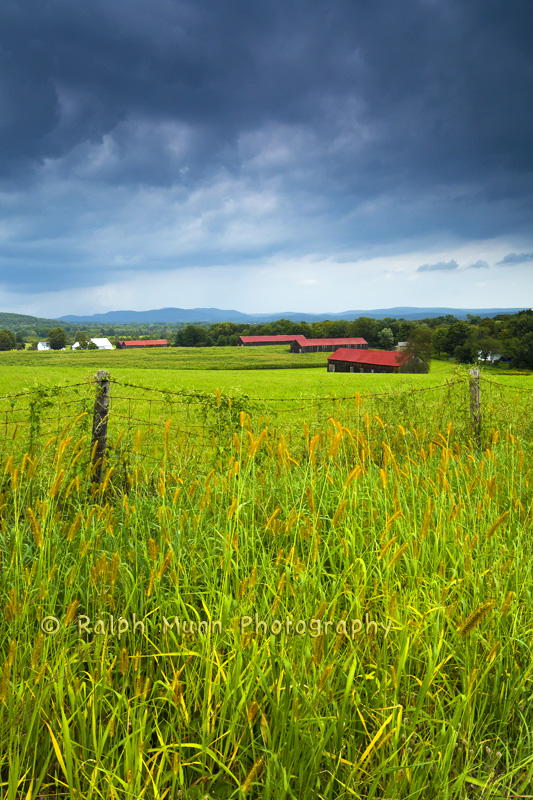 Tobacco Barns 1